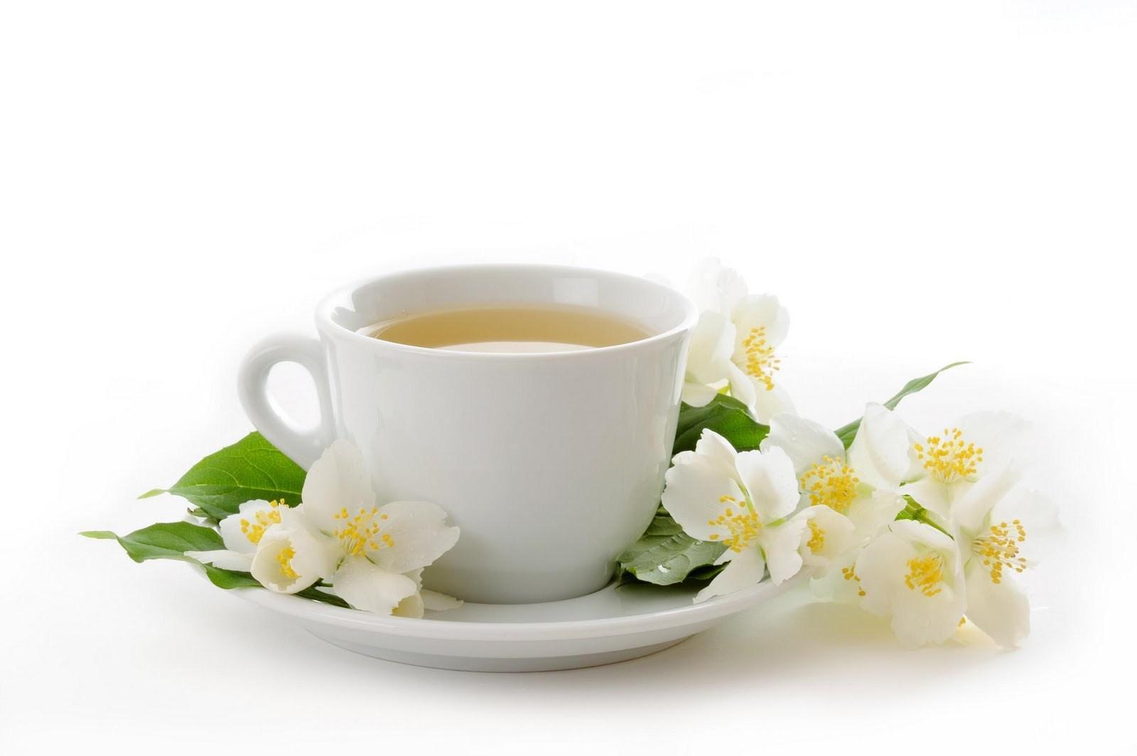 Chá Caseiro para Emagrecer – Chá Natural para Emagrecer